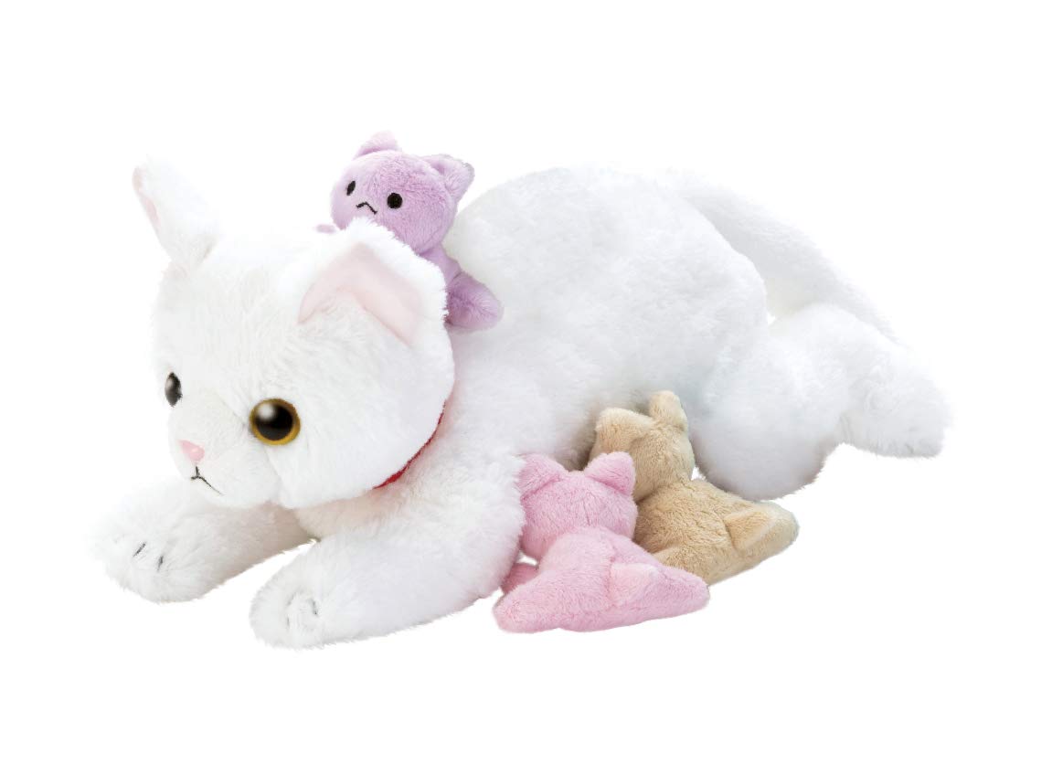 

Приснилось, что я родила домашнего кота!