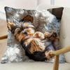 Cute Yorkie Puppy Printed Pillowcase for Comfy Decor Sofa Cushion Cover, Home Room Dormitory Decoration, 2D Printing