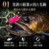 Used Marabou Kebari Handmade Kebari Managed Fishing Spot Fly Pink Beads Completed Fly Kebari
