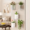 Double Layer Wall Mounted Planter Plastic Hanging Flower Pot DIY Hydroponic Wall Planter  Office