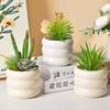 Ceramic Small Flowerpot Cream Colored Succulent Plant Pot Desktop Green Plant Potted Decoration Ins Style Home Ornament Decor
