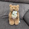 Original Jelly 30cm Shy Bonnie Rabbit Holding A Birthday Cake  Doll Accompanying Cat Dog Pet Christmas Valentine'S Day Gift