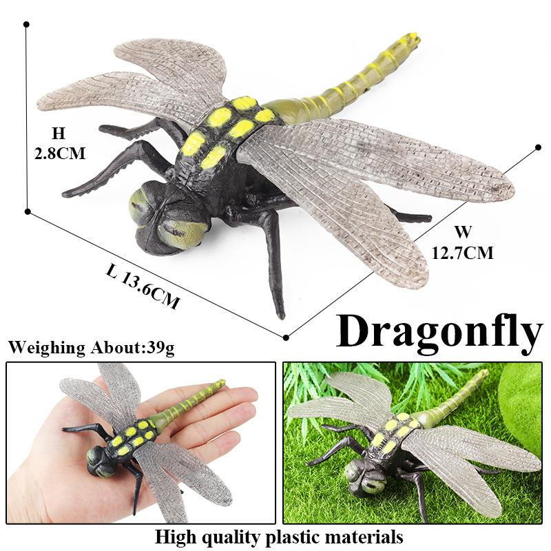 Oenux Insect Animals Model Figurine Butterfly Ant Dragonfly Spider Bee Mantis Scorpion Action Figures Educational Kid Toy Gift