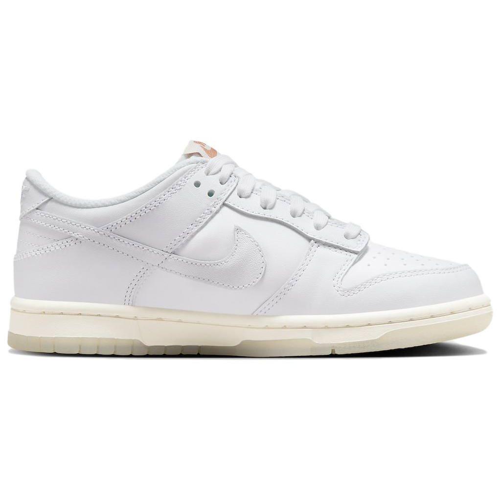 Nike Dunk Low GS Rainbow Lace Swoosh Kids Sneakers White Multi-Color-Dark-Pony Light-Silver FN4861-100