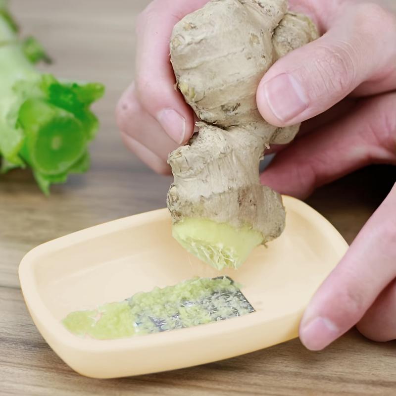 3PCS Kitchen Ginger Garlic Mashers Practical Wasabi Mustard Grinder Multifunctional Fruits Vegetables Grinding Tool