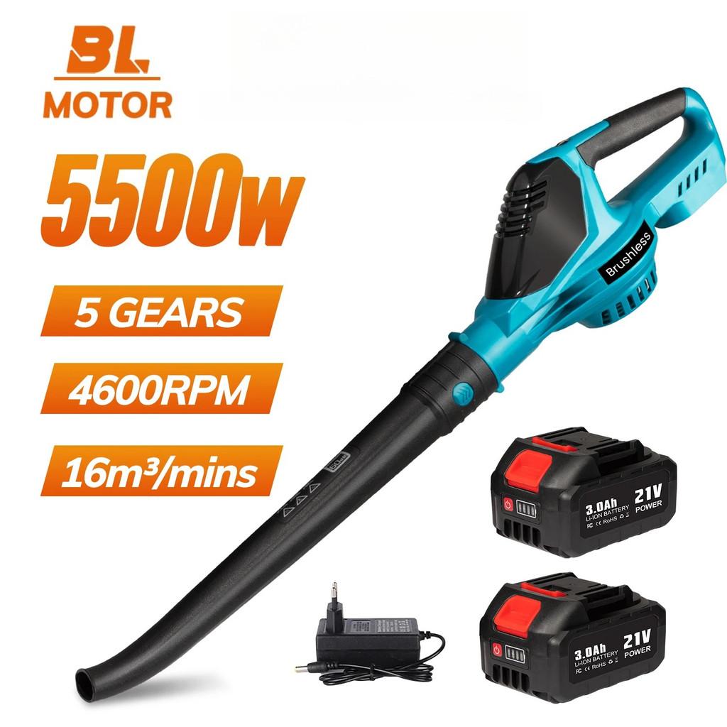 5500W High Power Brushless Electric Air Blower Cordless Portable Snow Leaf Blower Leaves Snow Dust Cleaning Power Tool