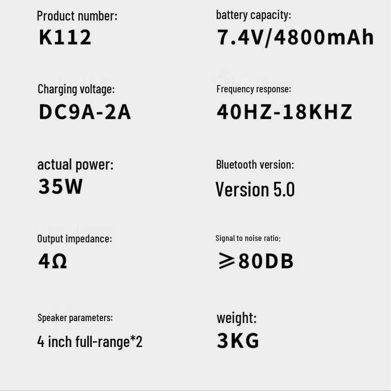 Newman K112 Portable Bluetooth Karaoke Speaker