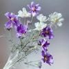 Fiore di Gesang Artificiale Ramo Singolo 4 Forcelle Cosmos Regina Fiore Finto Fiore di Seta Bouquet Soggiorno Matrimonio Decorazione Casa