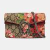 [Pre-Owned] Dionysus GG Blooms Tiger Head Buckle Logo Geranium Print Chain Shoulder Bag - Fair #1U6PO0B