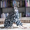 Whippet Italian Greyhound Clothing Fleece Jammies Coat Autumn Winter Warm Plush Turtleneck Jacket Pet Dog Clothes Fashion Jumper