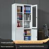 Locking Steel Filing Cabinet with Drawers for Financial Data and Vouchers