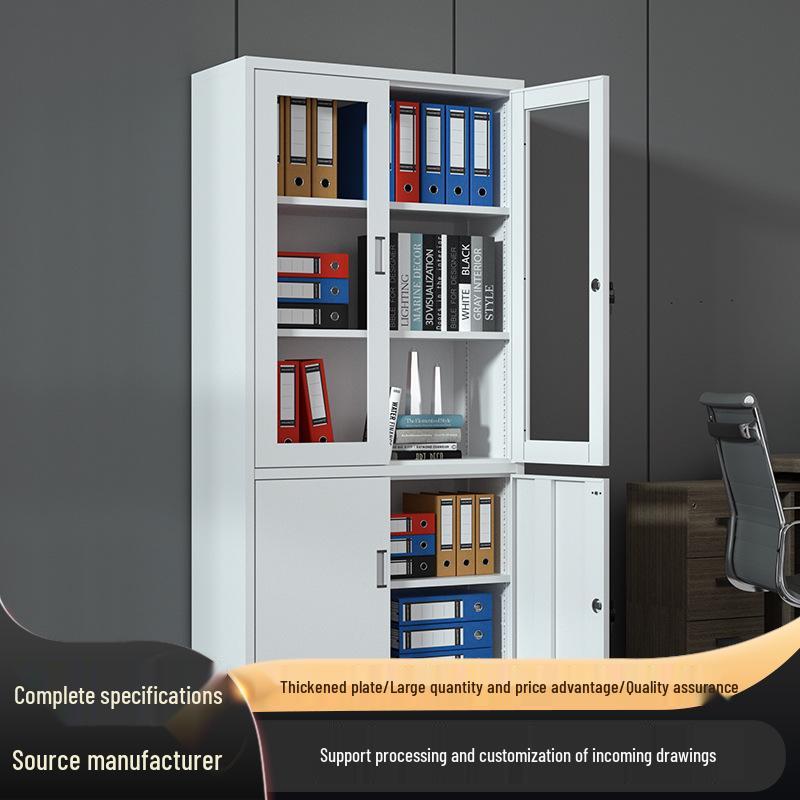 Locking Steel Filing Cabinet with Drawers for Financial Data and Vouchers