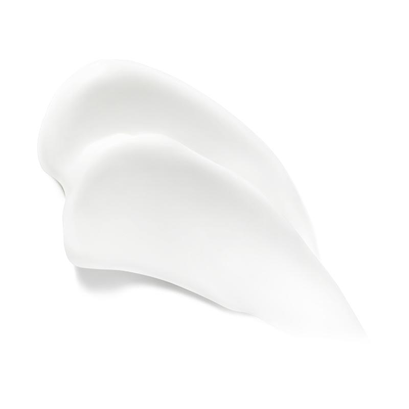 [HOLITUAL] Concentrate Signature Cream Light 80ml