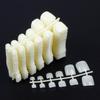 600Pcs Toe Nail Tips Natural Acrylic False Fake Artificial Tip For DIY Decor Salon Tools