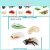 Realistisches Mini-Insekten-Set mit Heuschrecke, Biene, Spinne und Lebenszyklus-Modellen zum Lernen