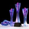 Creative High-end Colorful Crystal Trophy, Customized Lettering Award, Team Commendation Service, Home Decoration Engraving, New