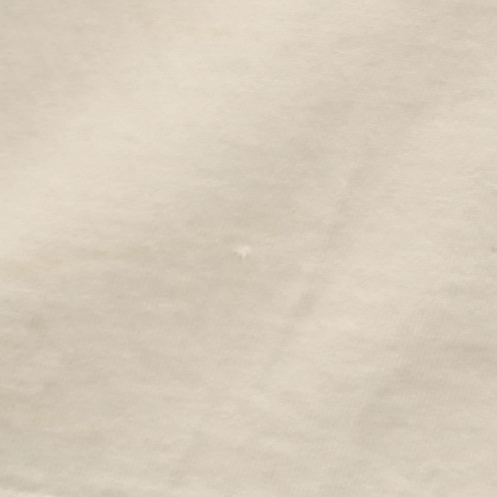 COTTON DELUXE 90s Made In USA Old Lizard Print Short Sleeve Henry Neck T-shirt Men's Used