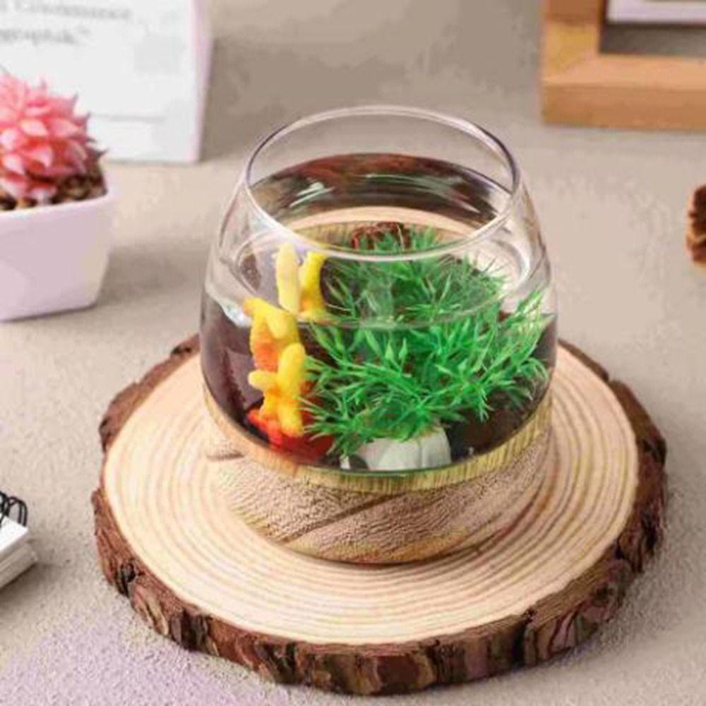 Round Transparent Glass Fish Tank Simple Glass Planter Hydroponic Vase  Office