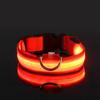 Light Up the Night - Stay Visible with Dog Glow Collar, Anti-Lost and Flashing Design for Safety