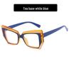 Avant-Garde TR90 Anti-Blue Light Eyeglass Frame - Unique European & American Style
