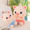 Strap Pig Doll Rag Doll Couple Plush Toy Girls Sleeping Pillow Super Soft Doll Birthday Gift