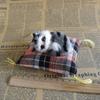 Cloth Plush Simulation Fur Cat Kawaii Kitty Cute Animal Doll Mini Sleeping Cats Toy  Home Decor