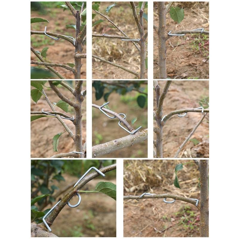 Steel Fruit Tree Shaping and Bending Tools 15 Pack 3 Sizes Branch Positioners Puller For Optimized Sunlight Exposure