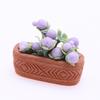 Miniature Green Plant Potted Decoration for Dollhouse Courtyard Micro Landscape BJD Accessories