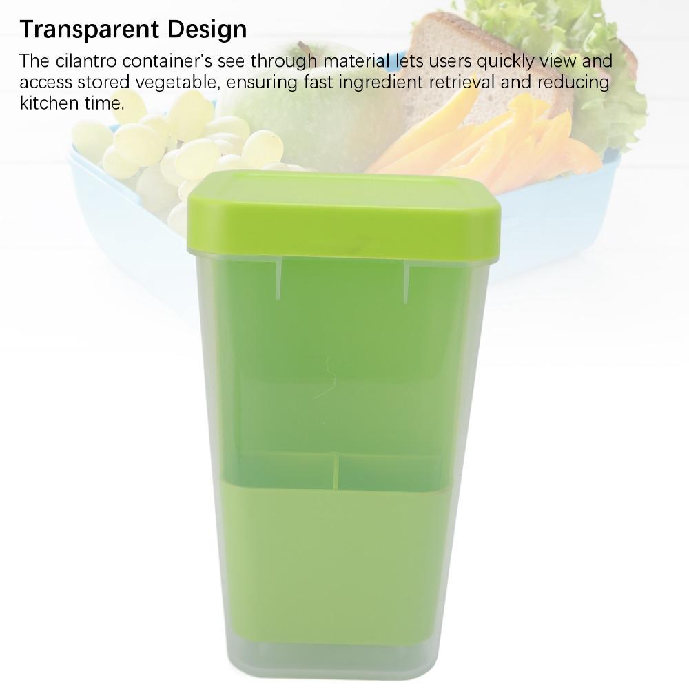 Plastic Asparagus Container Transparent Vegetables Keeper Asparagus Organizer  For Kitchen