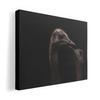 Art 420mm X Wall Wooden Stylish Interior Ostrich Panel, Painting, Decoration, Igsticker, 297mm, A3, Photo, Hanging, Frame, Decor, 025950, Animals,