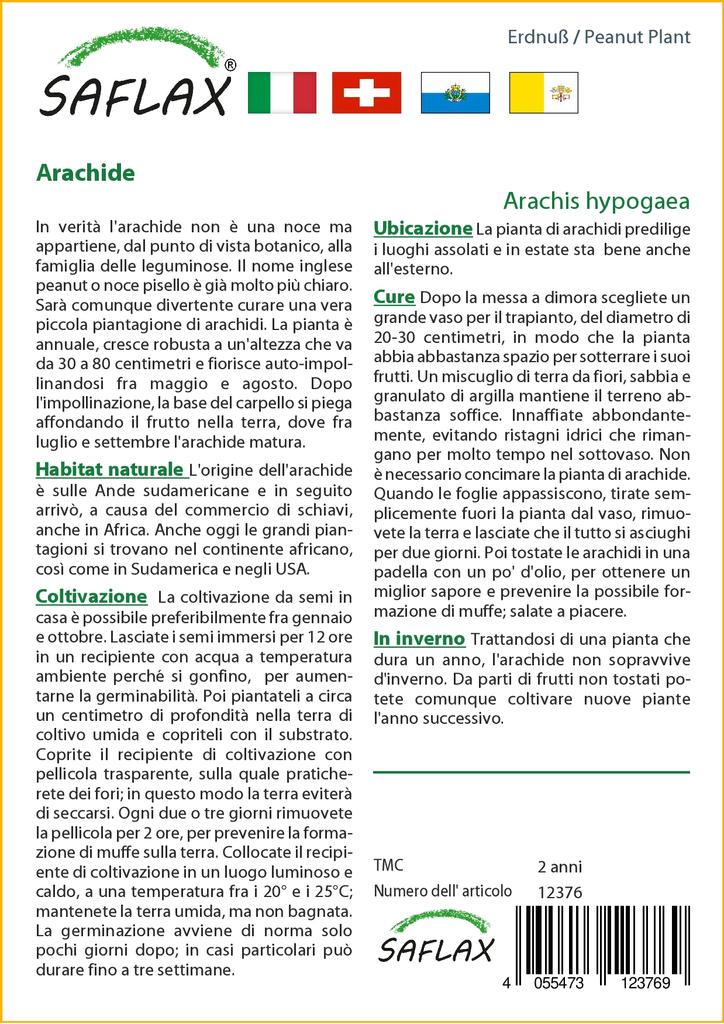 SAFLAX Arašíd - 8 semen - Arachis hypogaea