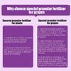 Grape Specific Fruit Tree Organic Flower Fertilizer Pot Plants To Supplement Phosphorus And Compound Particle Fertilizer