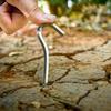 Tent Nails Aluminum Alloy Ground Nails Camping Rock Bottoms Ground Anchors Tent Accessory For Outdoor Camping Tent Peg