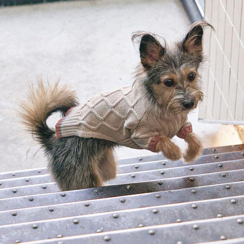 MUNIKUND Gugu Cashmere Knit - Oatmeal