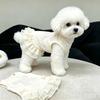Dog clothes summer foreign style princess style striped tutu skirt small dog bichon teddy breathable mesh dress