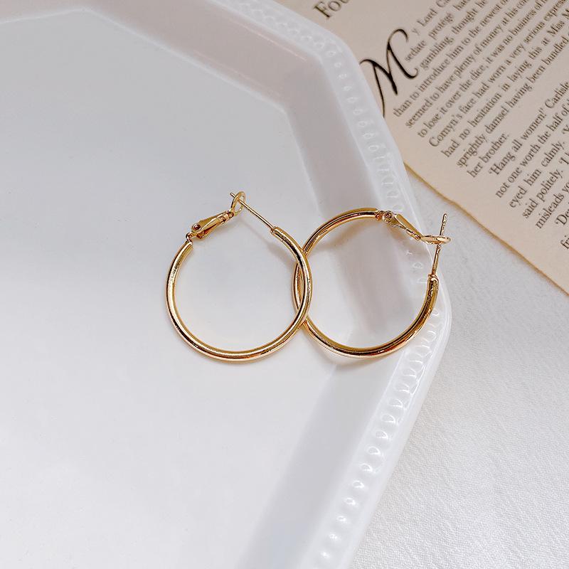 Exaggerated Hoop Earrings - European & American Cold Style, 925 Silver Needle, All-Match Metal Ear Jewelry for Women