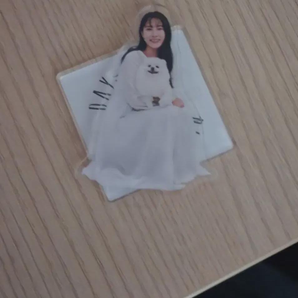 

Акриловая подставка для фонаря Kara Park Gyu-ri Japan Fan Meeting