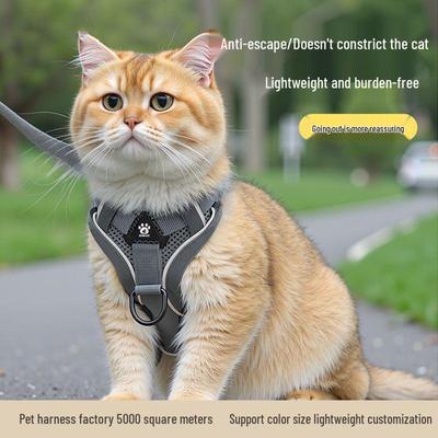 Ausbruchsicheres Verstellbares Katzengeschirr und Leine: Outdoor-Laufleine für internetberühmte Katzen