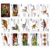 Carolata Real Dinosaur Learning Playing Cards Animal Dinosaur Toy Educational Toy Playing Card Game Picture Book Gift Present (Dinosaur/Quiz