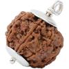 Certified 7 Mukhi Rudraksha Bead: Nepal Origin with Silver Capping for Financial Stability