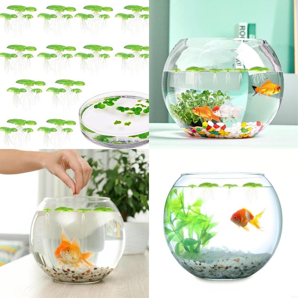 

2 Pack Plastic Water Surfaces Floating Plant Realistic Aquarium Decors Improves Habitat X3UC CN