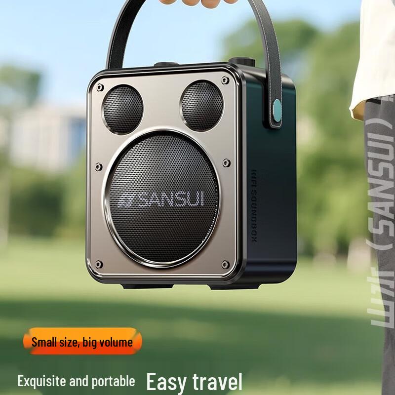 SANSUI D71 Portable Karaoke Bluetooth Speaker
