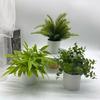 Simulated Eucalyptus Fan Leaf Potted Ornament Home Decor Living Room Simulated Green Plant Plastic Artificial Flower Plant