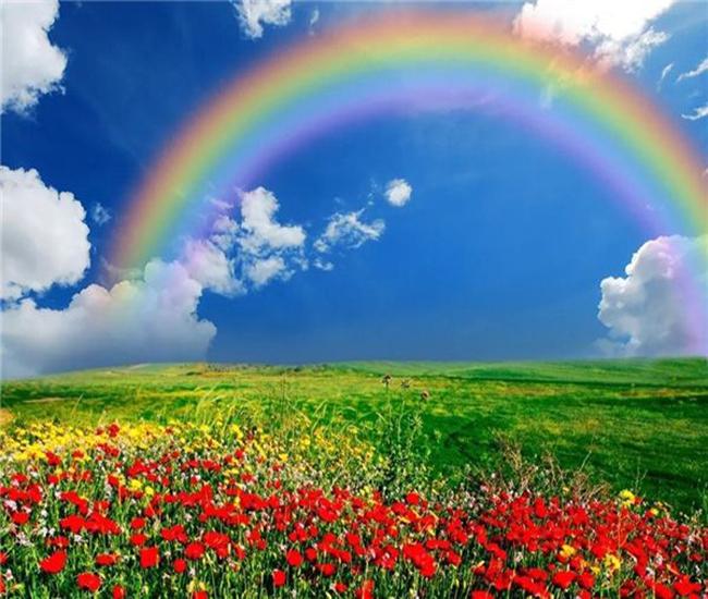 RUOPOTY Digital Natural Scenery Hand-Painted Art Gift Diy Digital Painting Set Room Decoration