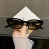 Fashion Hip-hop Small Cat Eye Sunglasses Fashion Women Eyeglasses with Retro Style Shades Glasses
