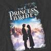 The Princess Bride Unisex Adult Storybook Love Heather T-Shirt