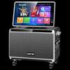 SAST SA-210C Portable Outdoor KTV System with Display (CN Version)