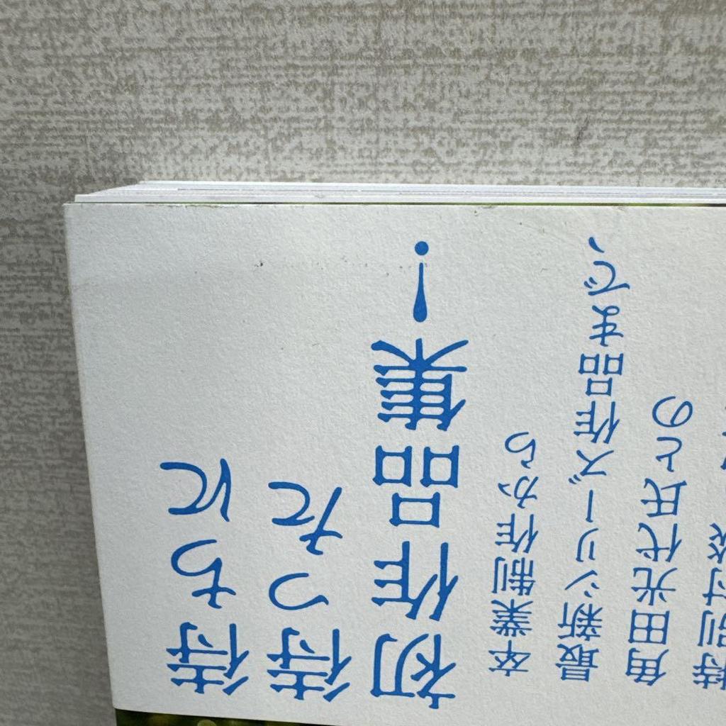 [USED] Sakura Hanabusa Wood Carving Collection 2014-2023 Every Day Is Cat Day