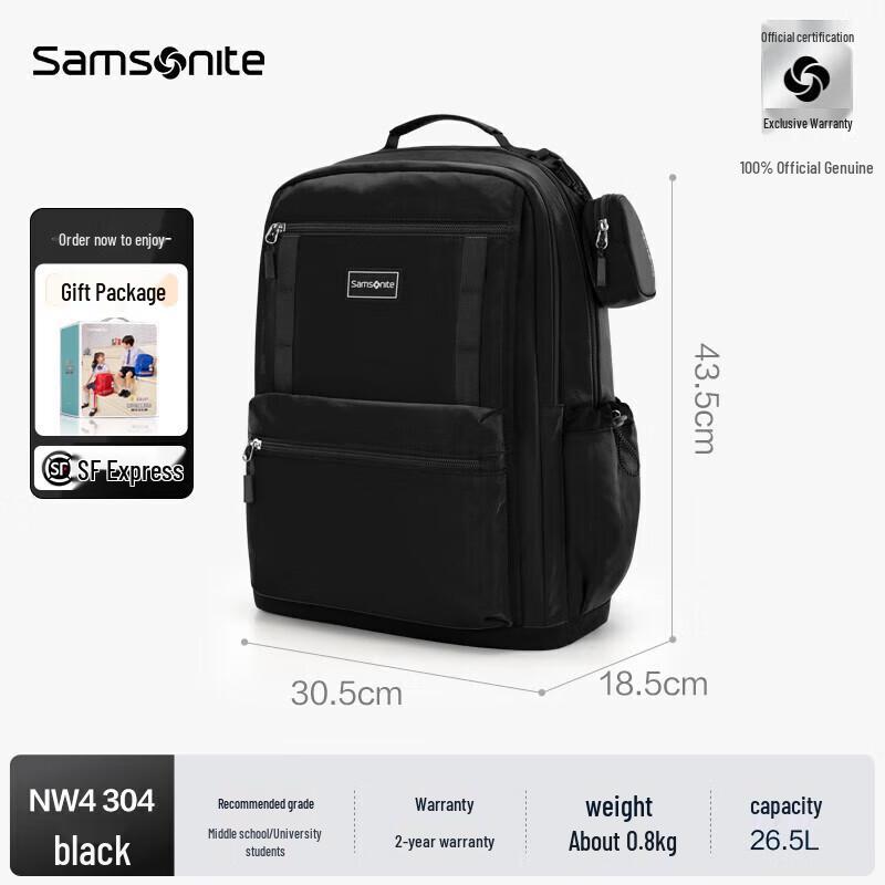 Samsonite NW4*09304 Casual Laptop Backpack