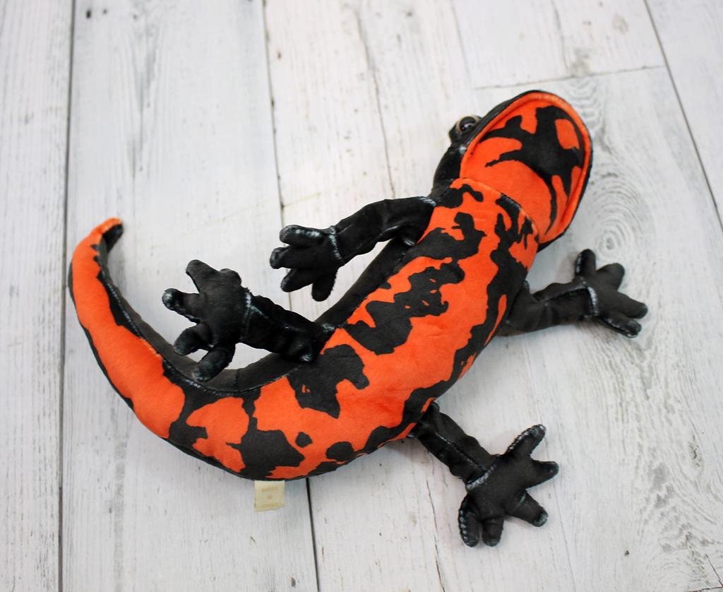 Takeoff Red-bellied Newt